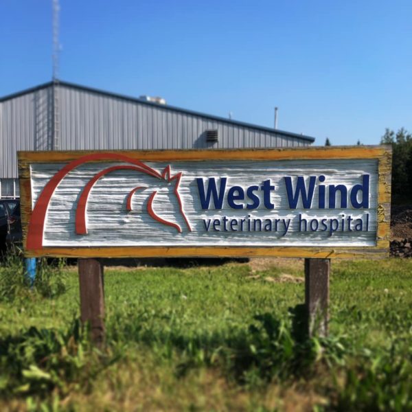 West Wind Veterinary Hospital Ltd