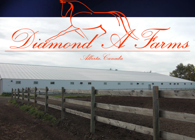 Diamond A Farms