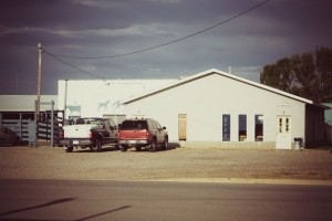Claresholm Veterinary Services