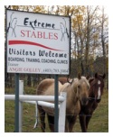 Extreme Stables