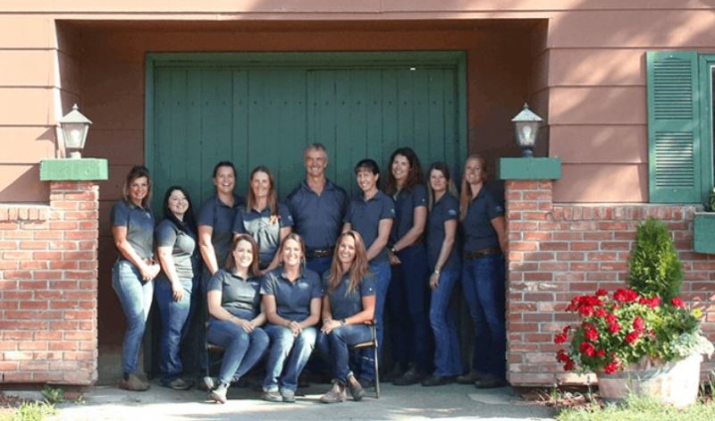 TD Equine Veterinary Group