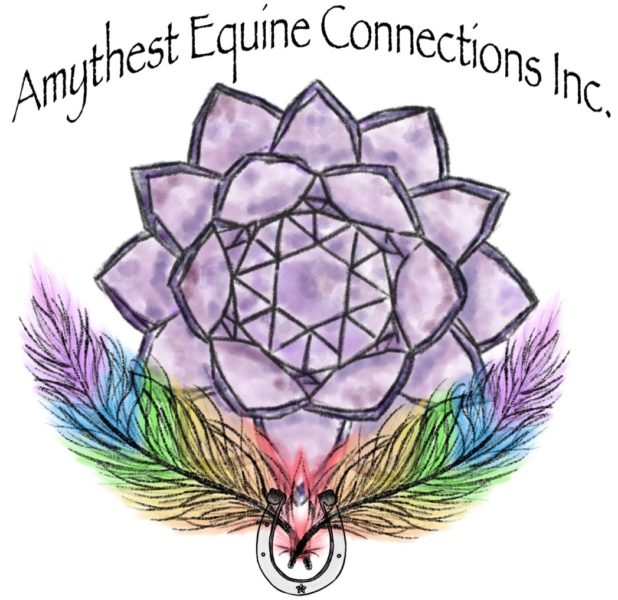 Amethyst Equine Connections