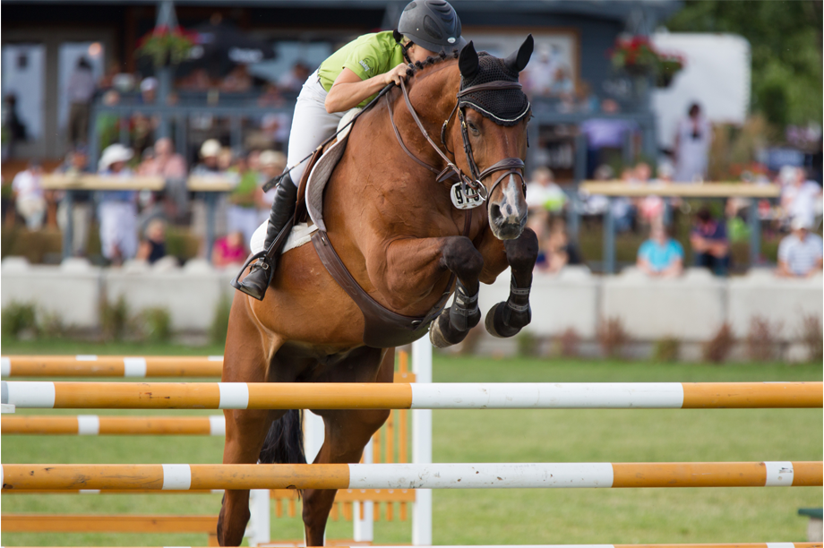 Horse and rider competing in outdoor event at RMSJ